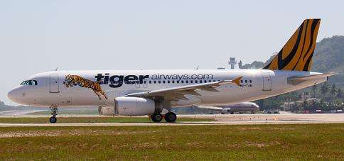 Tiger Airways - Tiger Mandala